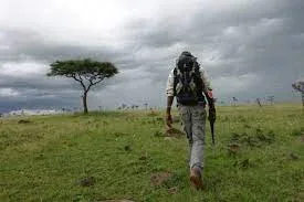 Laikipia Plateau Walking Safaris