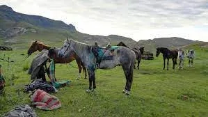Lesotho Mountain Horseback Safaris