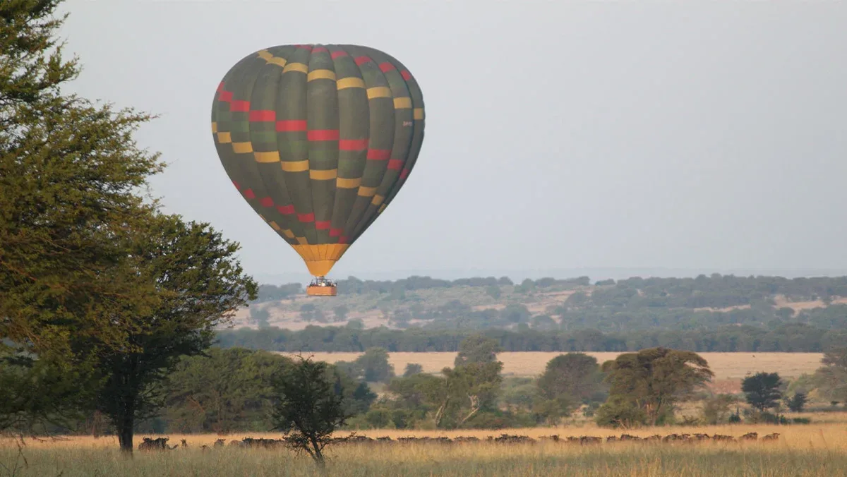 Limpopo National Park Hot Air Balloon Safari
