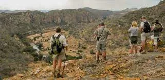 Limpopo National Park Safari Bush Walks