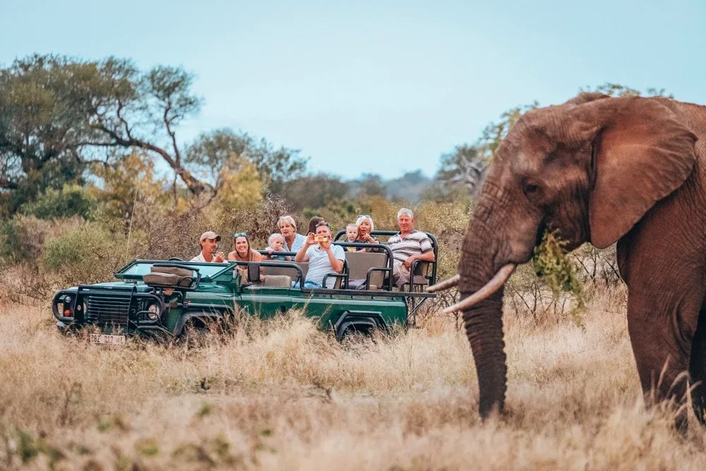 Limpopo National Park Safari Game Drives