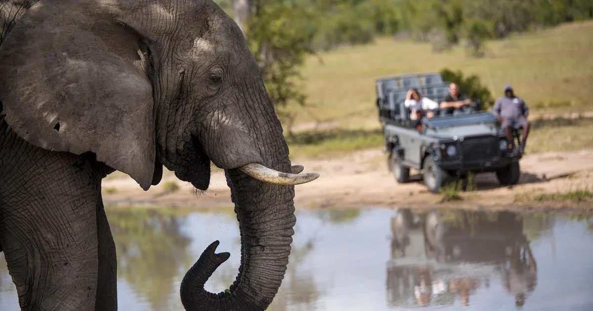 Limpopo National Park Safari Visit to the Interpretive Center