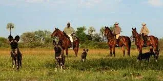Linyanti Concession Horseback Safaris