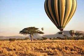 Lion Sands Private Game Reserve Balloon Safaris