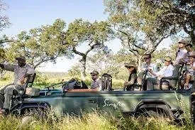 Lion Sands Private Game Reserve Honeymoon Safaris