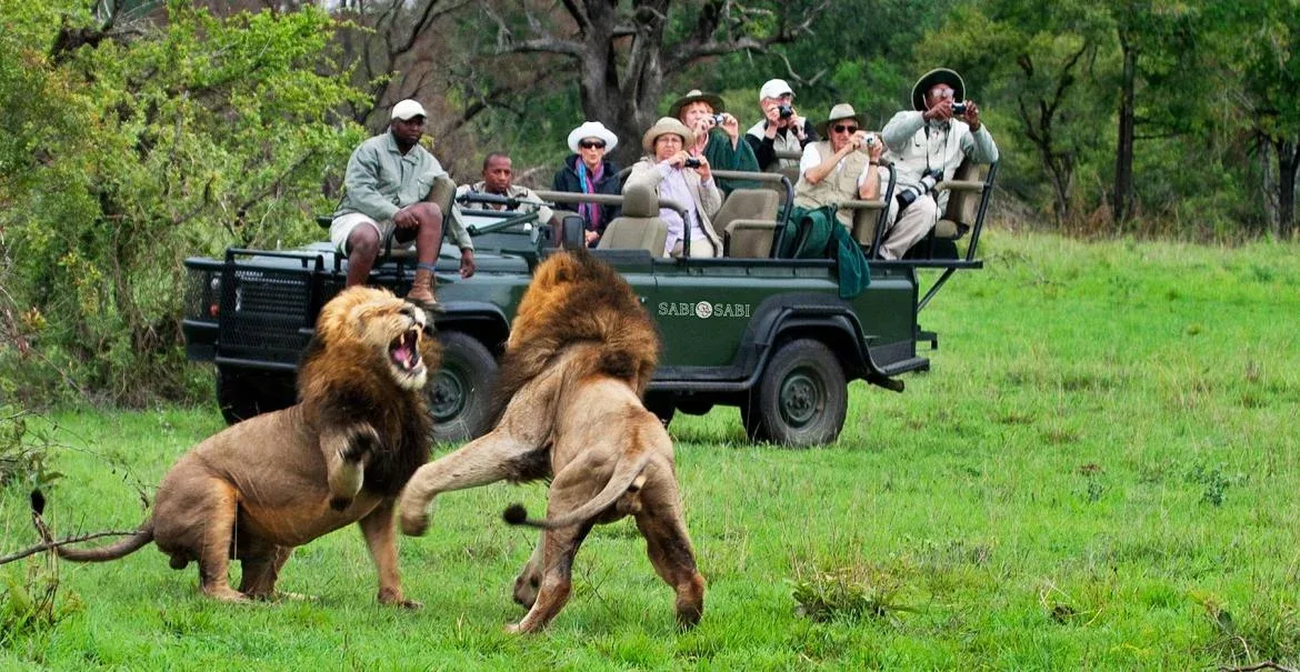 Lion Sands Private Game Reserve Safari Game Drives