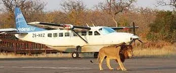 Lion Sands Private Game Reserve Scenic Flights Safaris