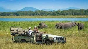 Liwonde National Customized Safaris