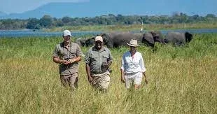 Liwonde National Walking Safaris