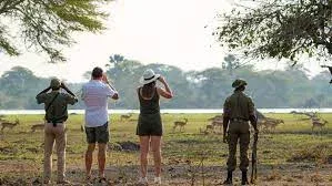 Liwonde National Walking Safaris