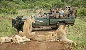 Londolozi Private Game Reserve Photographic Safaris