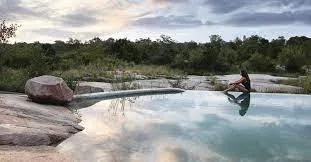 Londolozi Private Game Reserve River Safari