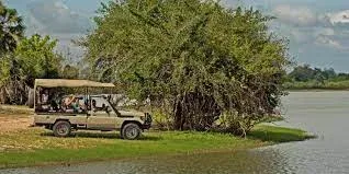 Londolozi Private Game Reserve Safari Game Drives
