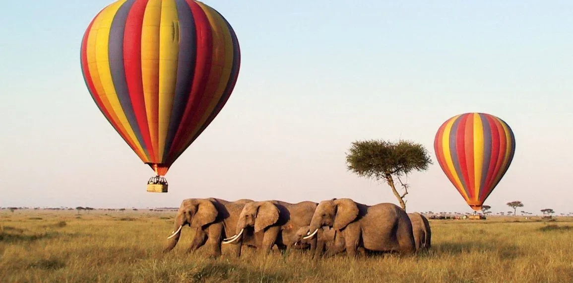 Hot air Balloon Safaris