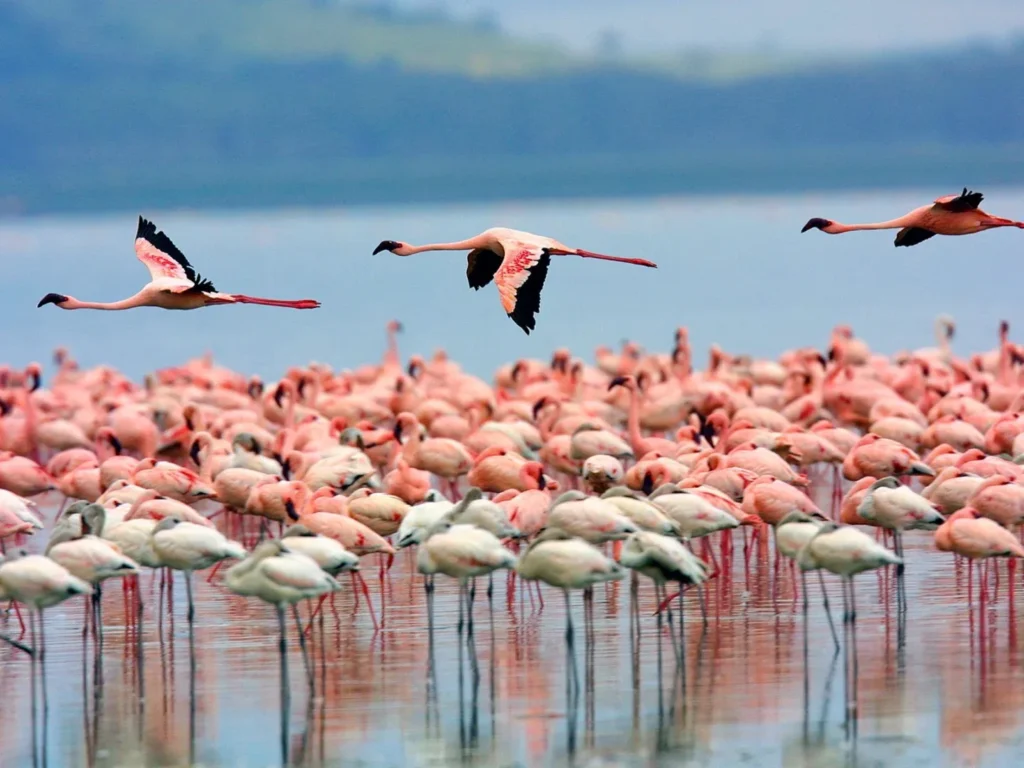Lake Nakuru Park