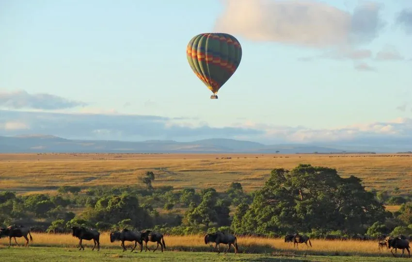 Masai Mara Ballon Safaris 2 850x540 1