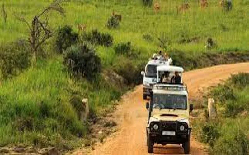 Chebera Churchura Guided Game Drives Safaris Package
