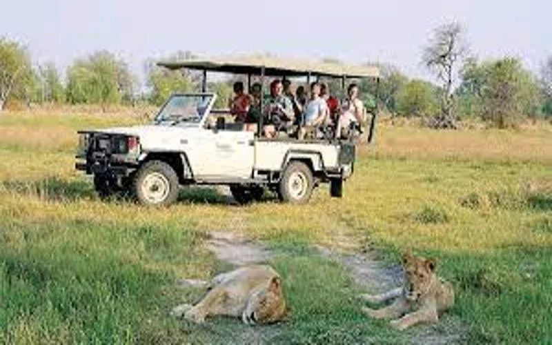 Chobe National Game Drive Safari 1