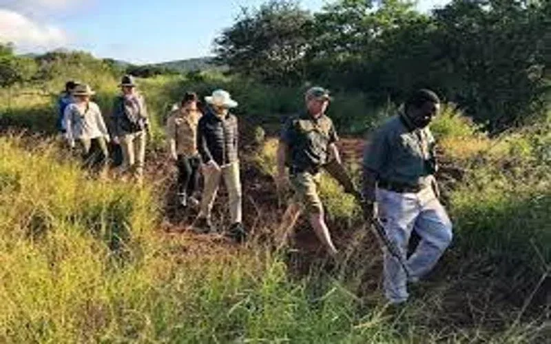 Chobe National Walking Safari Package 1