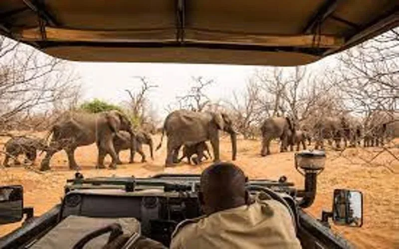 Dulini Private Game Reserve Conservation and Wildlife Education Safari