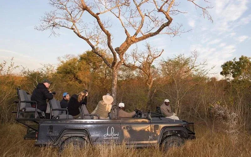 Dulini Private Game Reserve Game Drives Safari