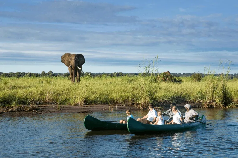 Africa Canoe Safaris in January
