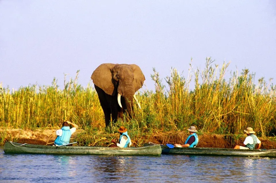 Africa Canoe Safaris in September