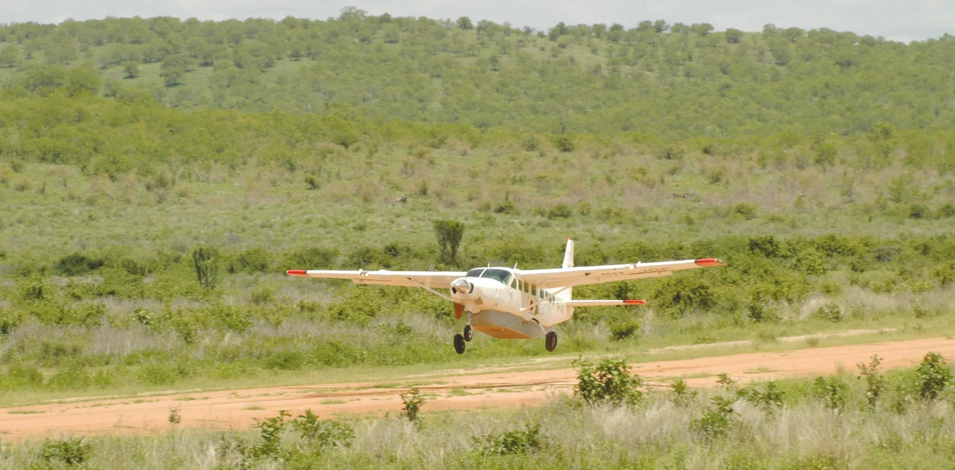 Africa Fly In Safaris South Luangwa National Park Zambia