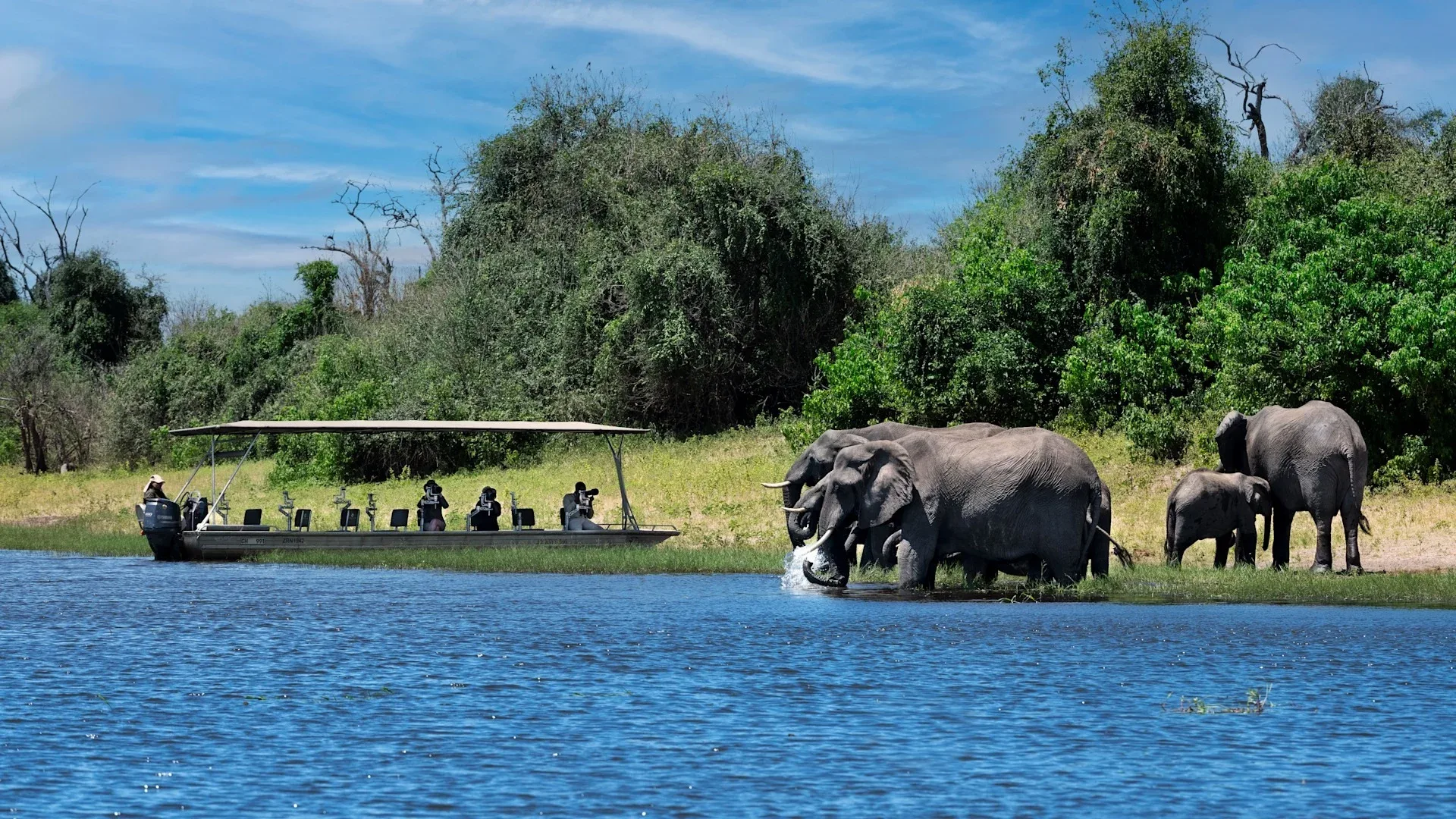 Botswana Chobe National Park Under Canvas Experience Pangolin photographic boat 10 Website 1