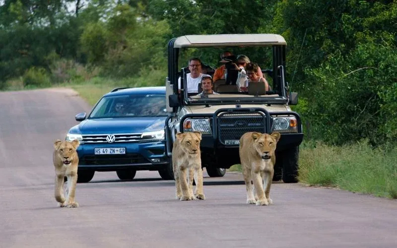 Eswatini Self Drive Safari