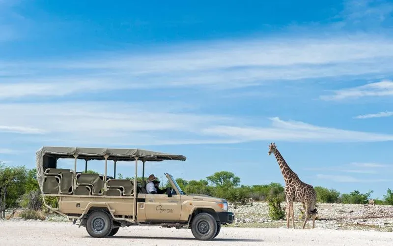Etosha National Park Game Drives Safari
