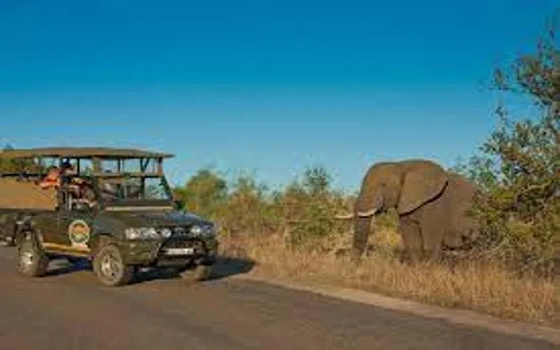 Gile National Park Budget Safari