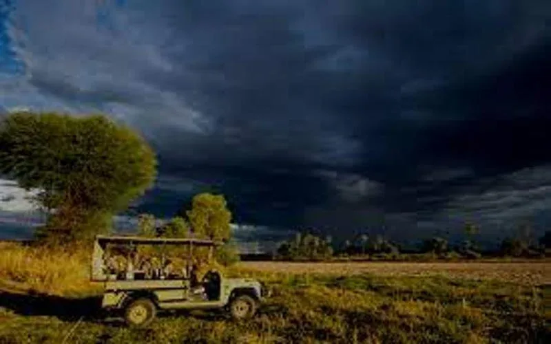 Gile National Park Night Drives Safaris