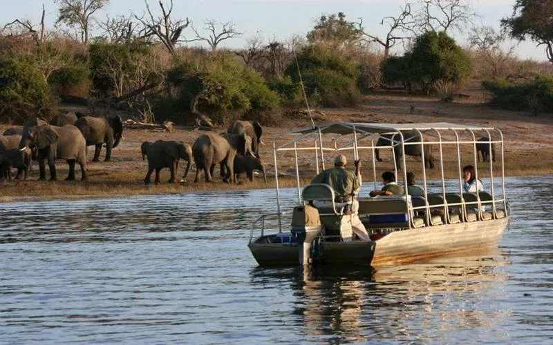 Gorongosa National Park Boat Safari