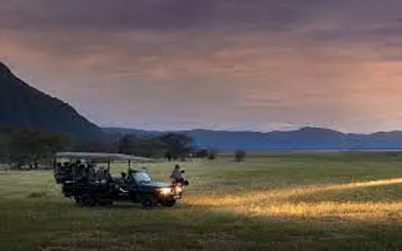 Gorongosa National Park Night Drives Safari