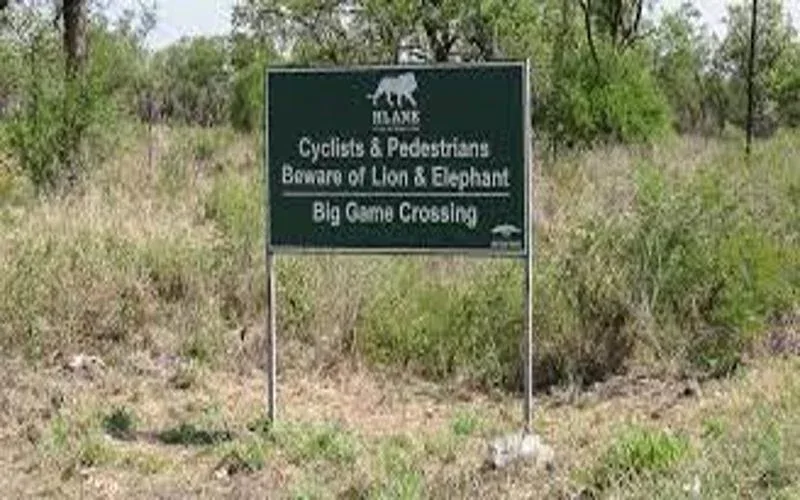 Hlane Royal National Park Educational Safari