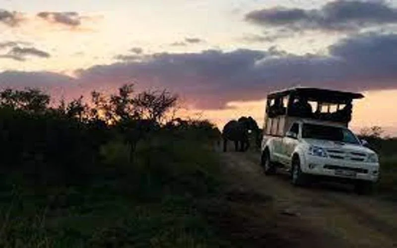 Hluhluwe iMfolozi Game Reserve Night Drives Safari