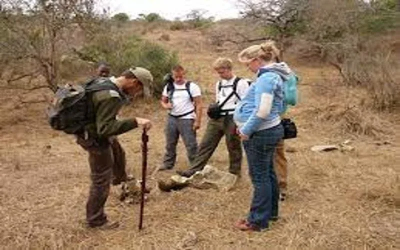 Hluhluwe iMfolozi Game Reserve Walking Safaris Package 1