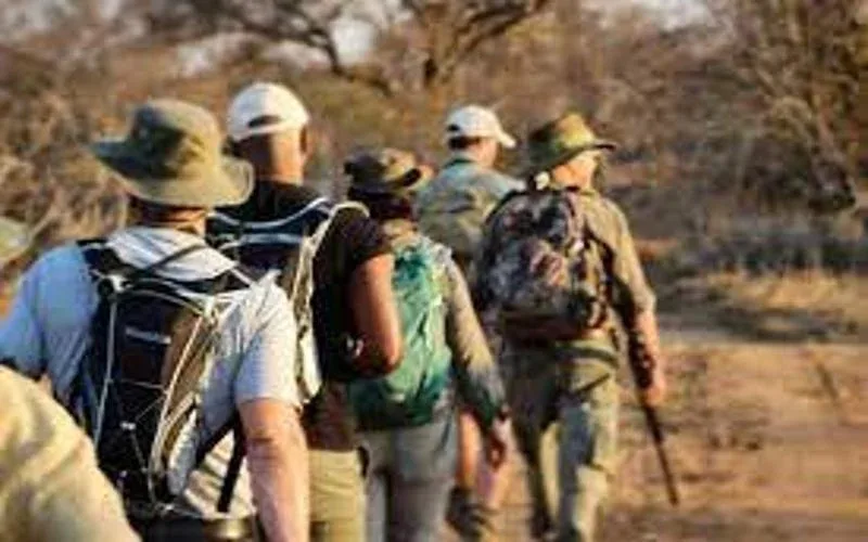 Idube Game Reserve Bush Walks Safari
