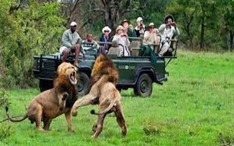 Idube Game Reserve Game Drives Safari