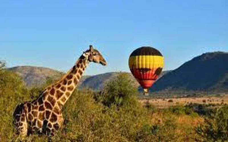 Idube Game Reserve Hot Air Baloon Safari 1