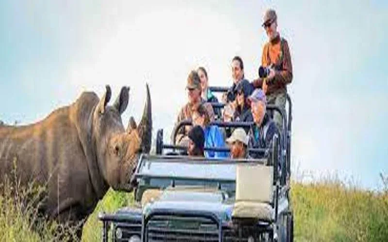 Ithala Game Reserve Game Drive Safari