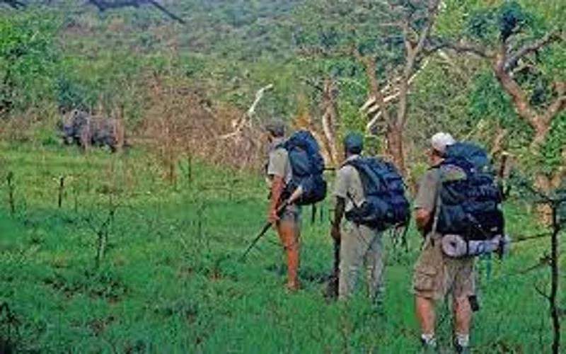 Ithala Game Reserve Guided Walk Safari Package