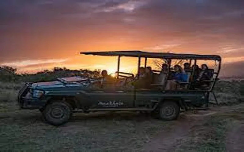 Ithala Game Reserve Night Drive Safari Package