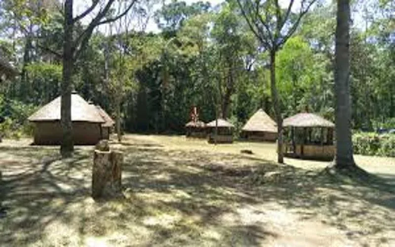 Kakamega Forest National Reserve Educational Visits Safari