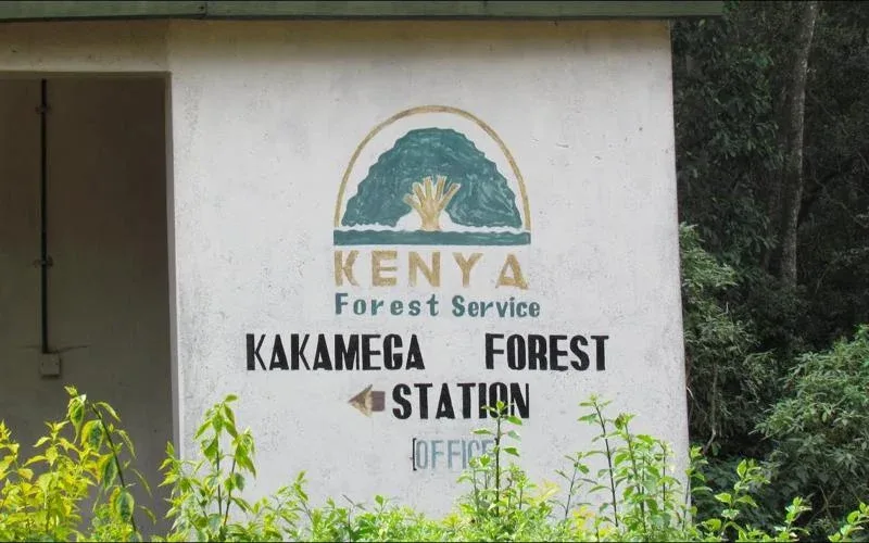 Kakamega Forest National Reserve Overnight Stay Safari