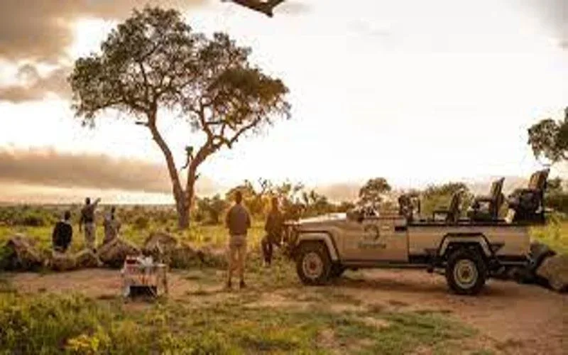 Kapama Private Game Reserve Game Drives Safaris
