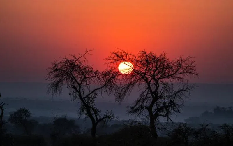 Karoo National Park Sunset and Night Drives Safari 1