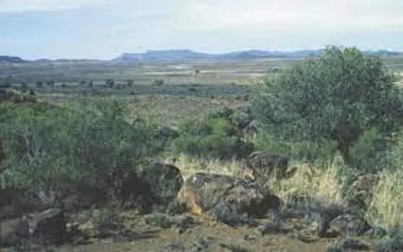 Karoo National Park Visit the Visitor Center Safari