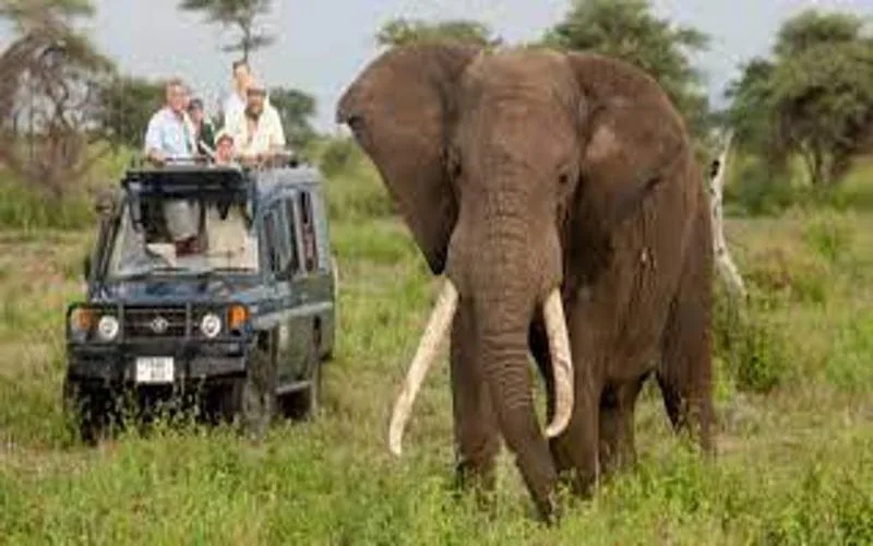Kasungu National Park Game Drives Safari